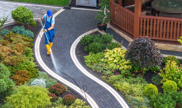 Best Affordable Power Washing  in Macarthur, WV